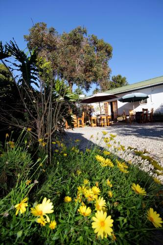 Фотография хостела Nothando Backpackers Lodge