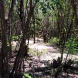 Фотография кемпинга Tulum Nueve