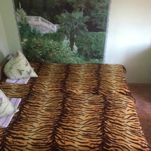 Фотография мини отеля Вишня