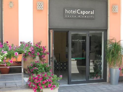 Фотография гостиницы Hotel Caporal
