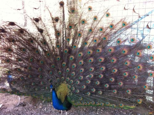 Фотография гостевого дома Motorom