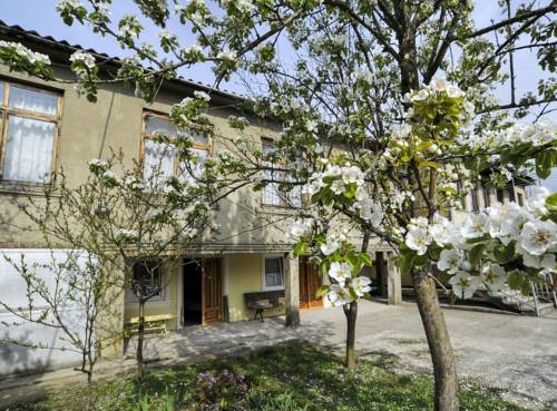 Фотографии мини отеля
Hotel Manana