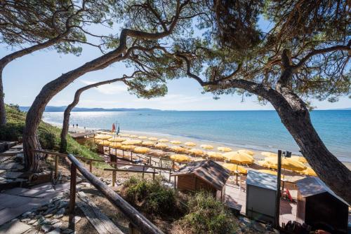 Фотография гостиницы Il Pelagone Hotel & Golf Resort Toscana