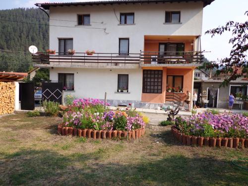 Фотография гостевого дома Family Hotel Ecorelax