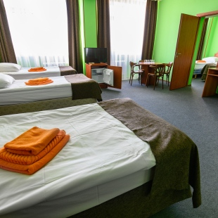 Фотография номера гостиницы Отель Мега