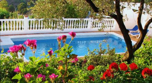 Фотография мини отеля B&B la Madrugada