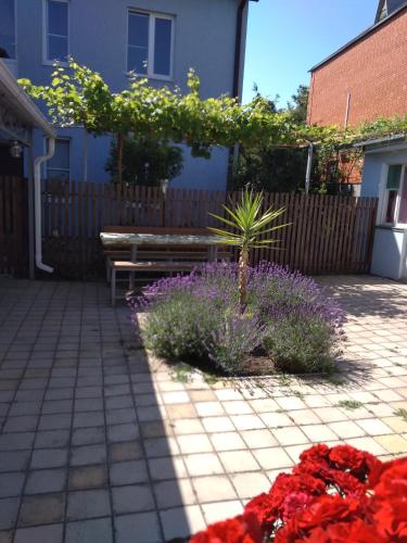 Фотография гостевого дома Домики на Советской