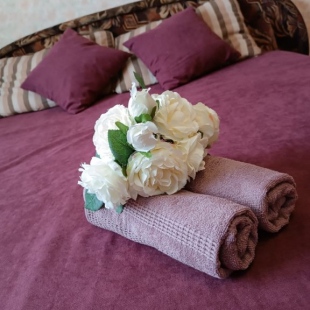 Фотография квартиры Апартаменты на Торговой 122