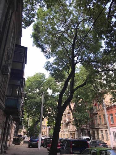 Фотография мини отеля #8