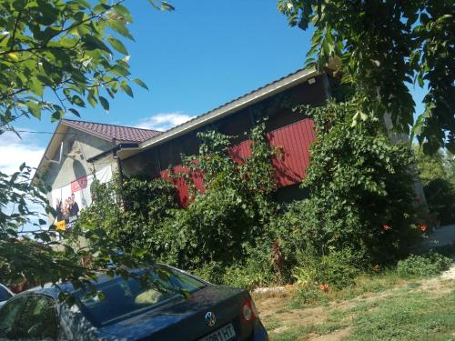 Фотография гостиницы Татьяна