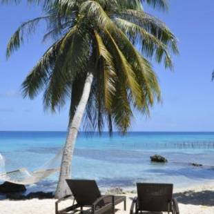 Фотография мини отеля Le Coconut Lodge