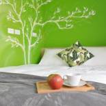 Фотография хостела Paper Plane Hostel