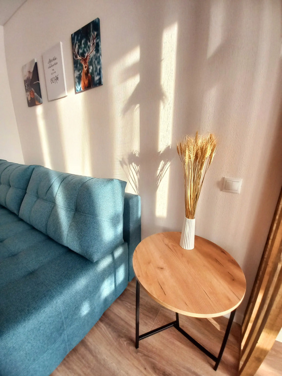 Фотография квартиры Квартира ЭКО-студия