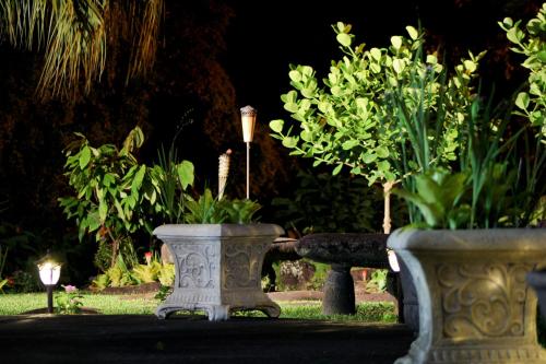 Фотография гостевого дома Hilltop Legacy Vacation Rental