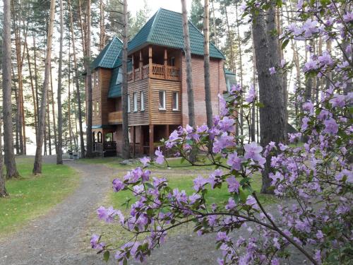 Фотография гостиницы Парк-отель Манжерок