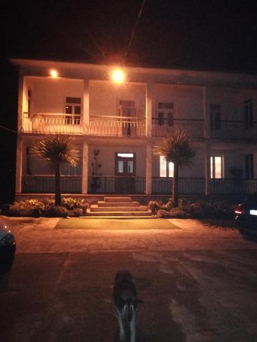 Фотография гостевого дома Green House