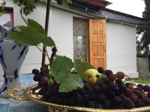 Фотография гостевого дома Дома для отдыха Хоста