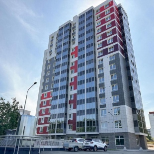 Фотография квартиры Карельский лось на улице Гражданская 21