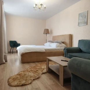 Фотография квартиры Апартаменты на Московском Проспекте 130к1 (346)