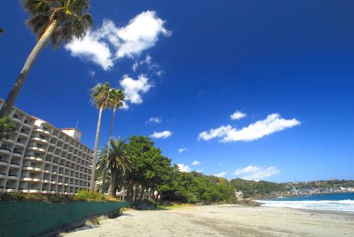 Фотография гостиницы Izu Imaihama Tokyu Hotel