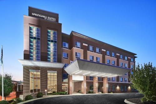 Фотография гостиницы SpringHill Suites by Marriott Roanoke