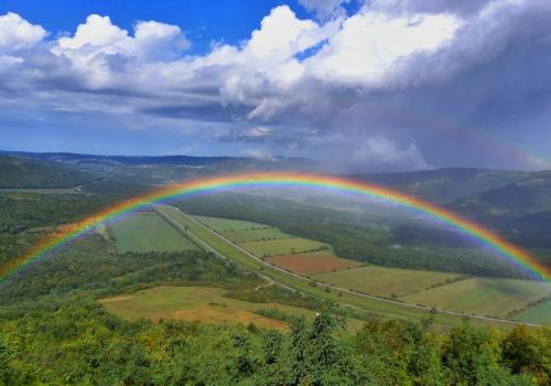 Фотография мини отеля Villa Borgo B&B