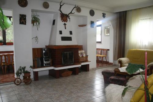 Фотография гостевого дома Pensiunea Bianca