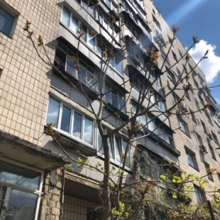 Фотография хостела Демеевская