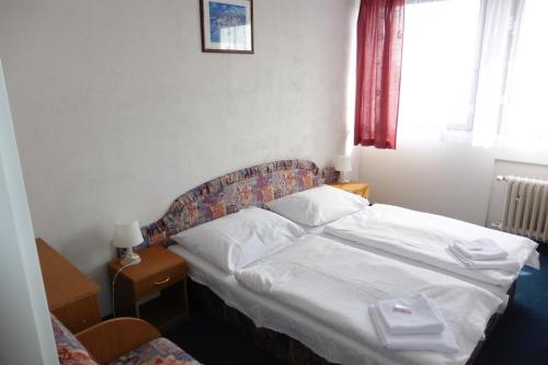 Фотография гостиницы Hotel Labe