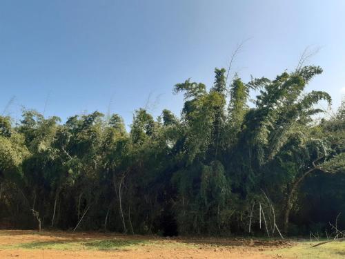 Фотография гостиницы Runnel View