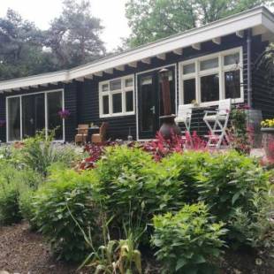 Фотографии мини отеля
Bosgeluk