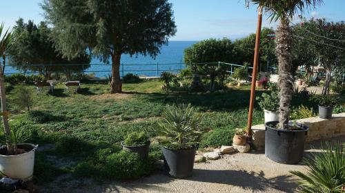 Фотография гостевого дома Kima House