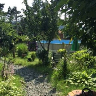 Фотография гостевого дома Surami Treehouse