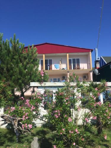 Фотография гостиницы Green yeard