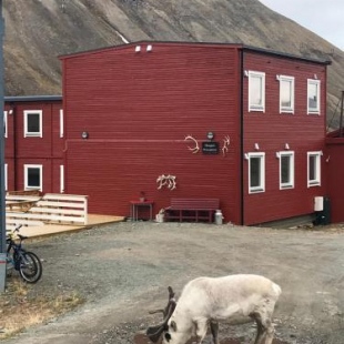 Фотография гостевого дома Haugen Pensjonat Svalbard