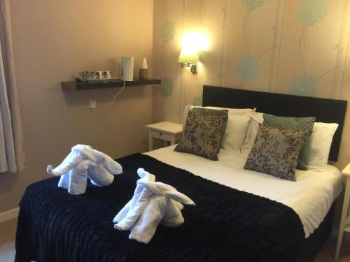 Фотография мини отеля The Albert Inn