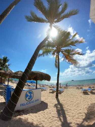 Фотография гостиницы Pelicano Inn Playa del Carmen - Beachfront Hotel