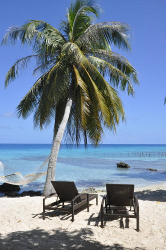 Фотография мини отеля Le Coconut Lodge