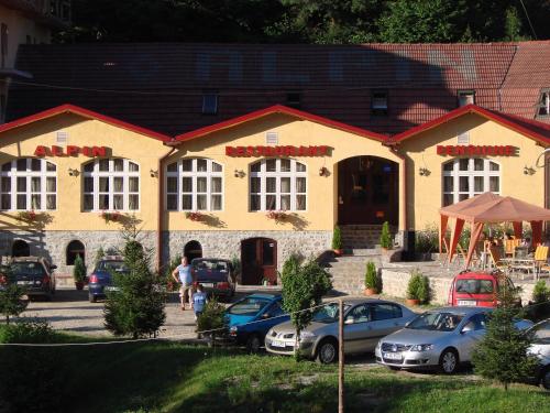 Фотография гостевого дома Pensiunea Alpin