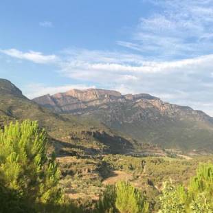 Фотографии гостевого дома 
            Corral de Jaume