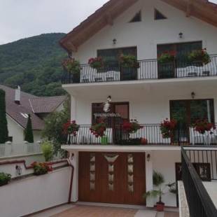 Фотографии мини отеля 
            Casa Mimi