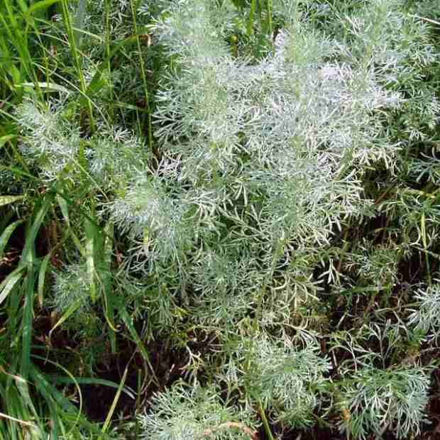Фотография достопримечательности Николаевский заказник
