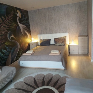 Фотография квартиры Квартира с птицами