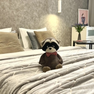 Фотография квартиры Апартаменты Сканди