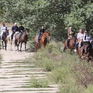 Фотография достопримечательности ХорсЛенд