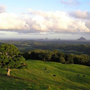 Фотографии мотеля
Tranquil Park