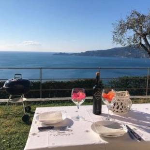 Фотографии гостевого дома
Villa del Sol