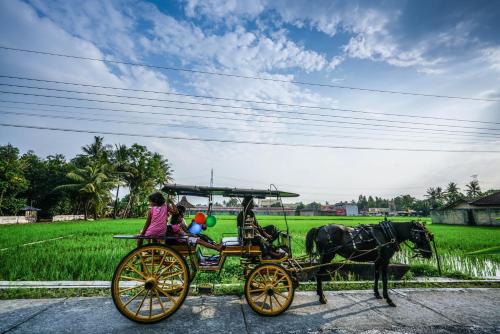 Фотография гостиницы D'omah Yogya Hotel