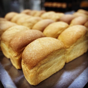 Фотография предприятий Сорочинский Хлебокомбинат