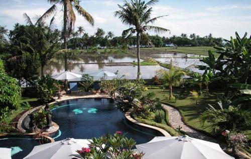 Фотография базы отдыха Sawah Lovina